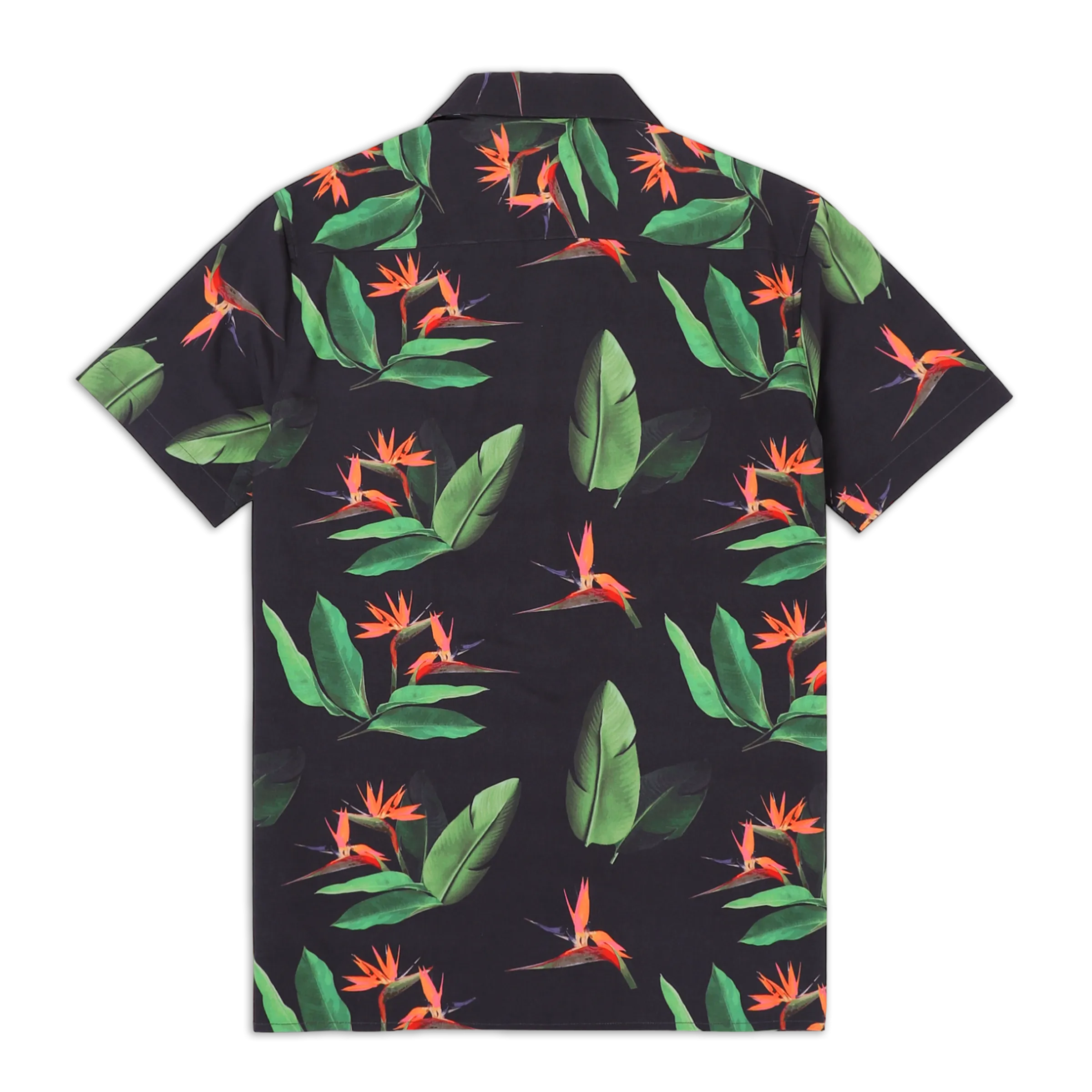 Cabana Camp Collar Shirt