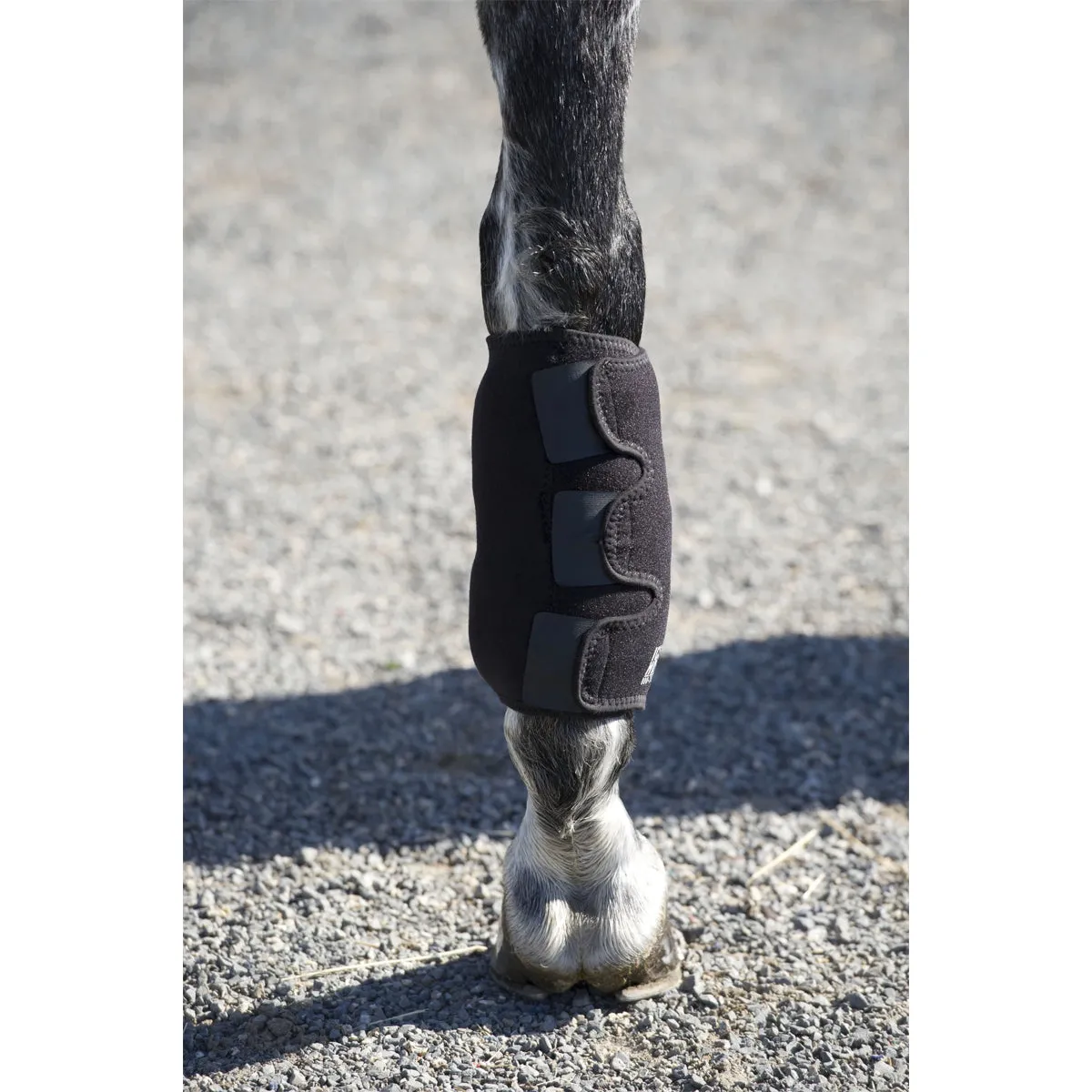 Ice Horse Tendon Wrap