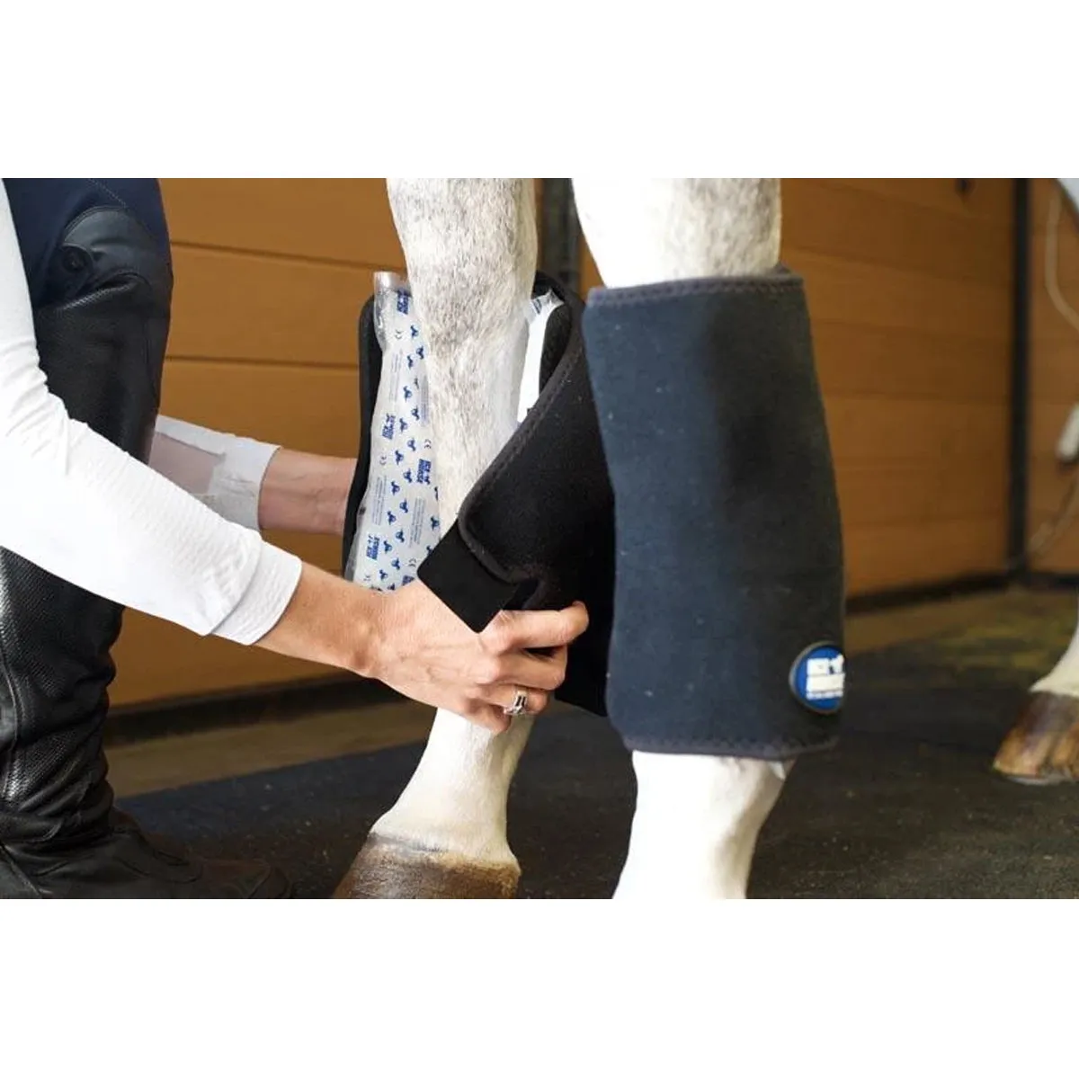 Ice Horse Tendon Wrap