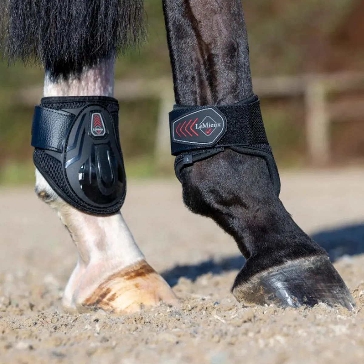 LeMieux Derby ProJump Fetlock Boot