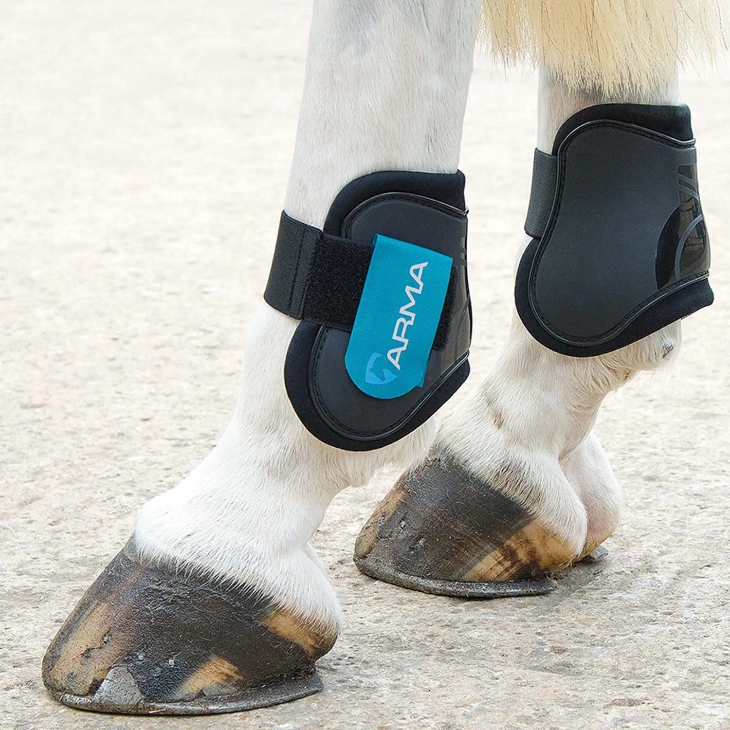 Shires Arma Fetlock Boots