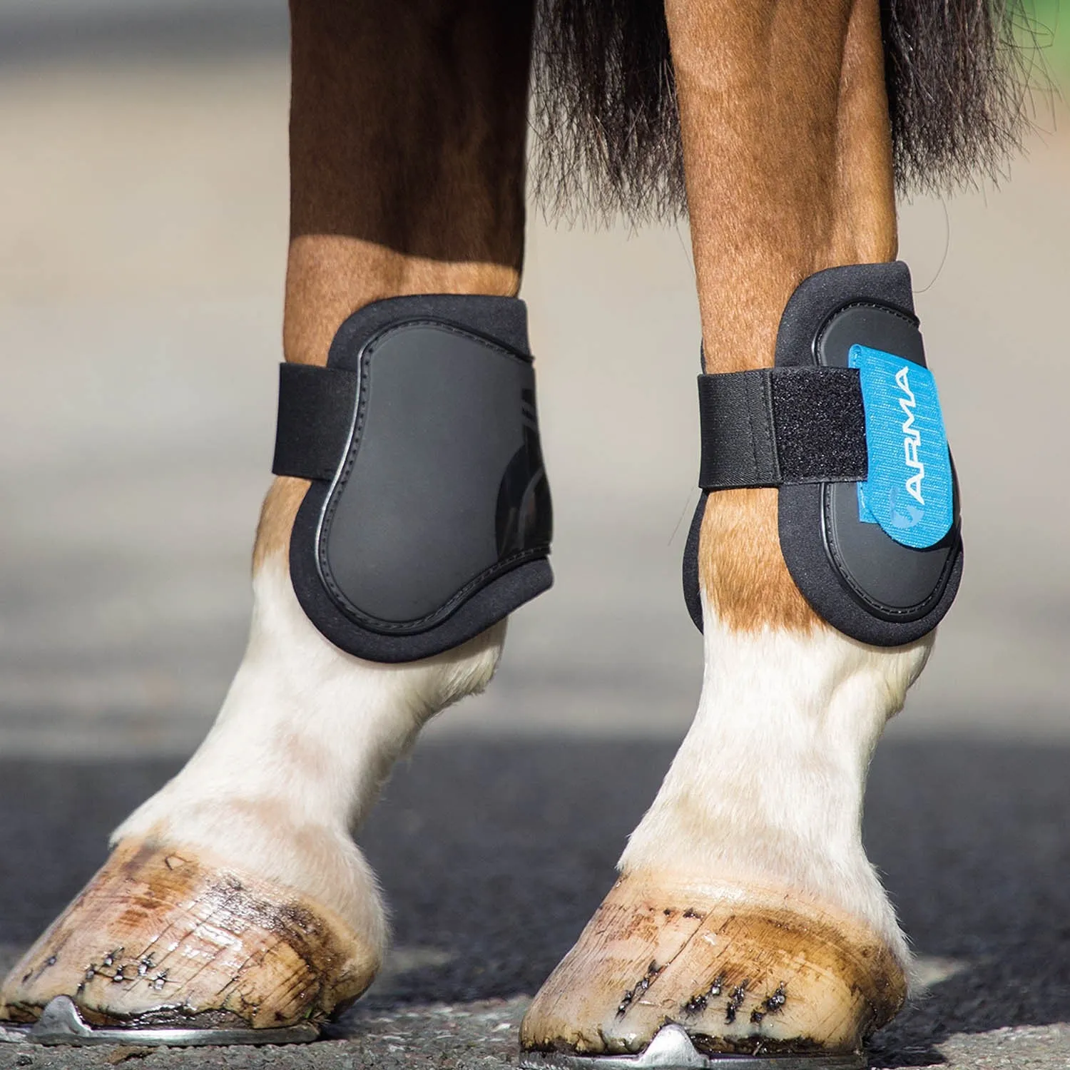 Shires Arma Fetlock Boots