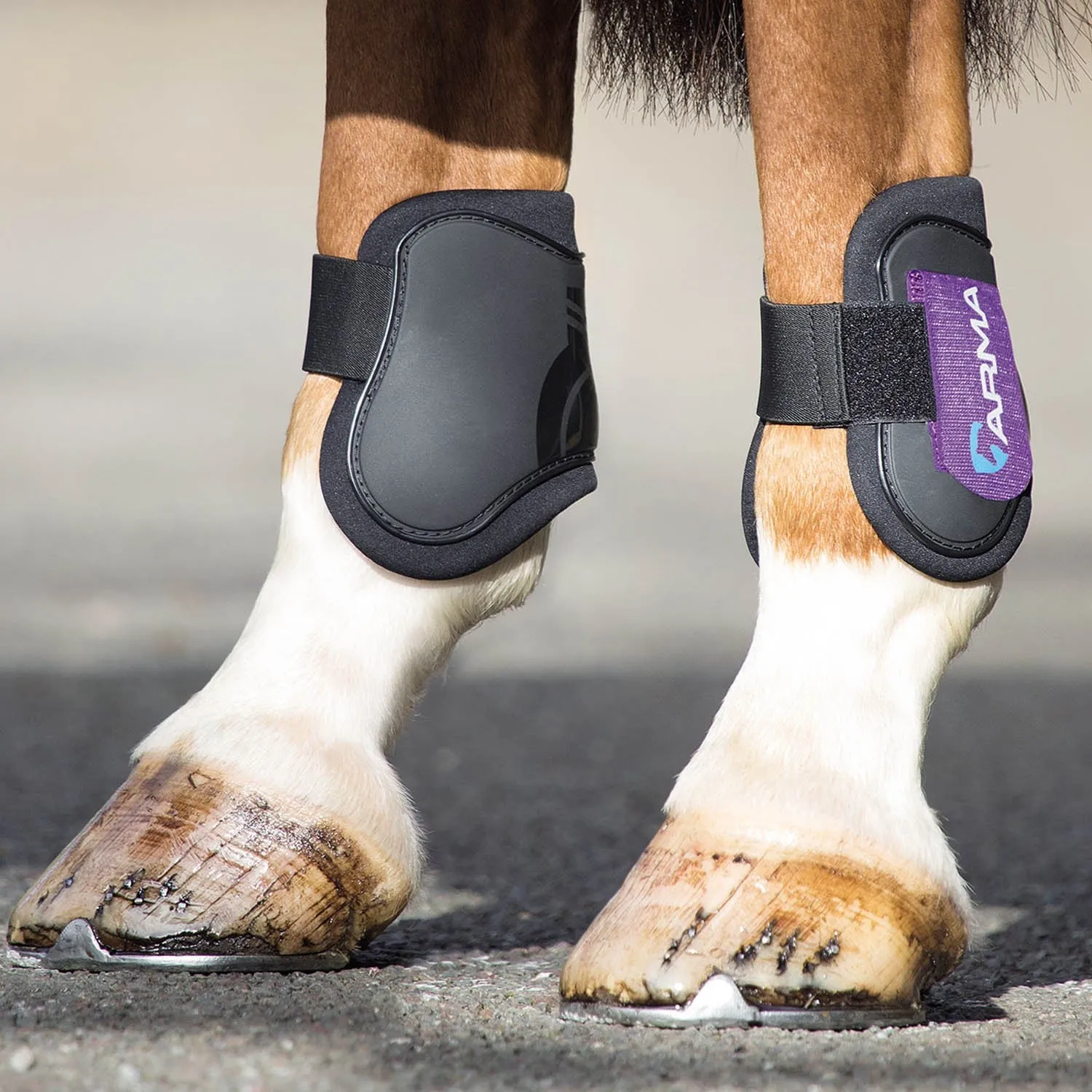 Shires Arma Fetlock Boots